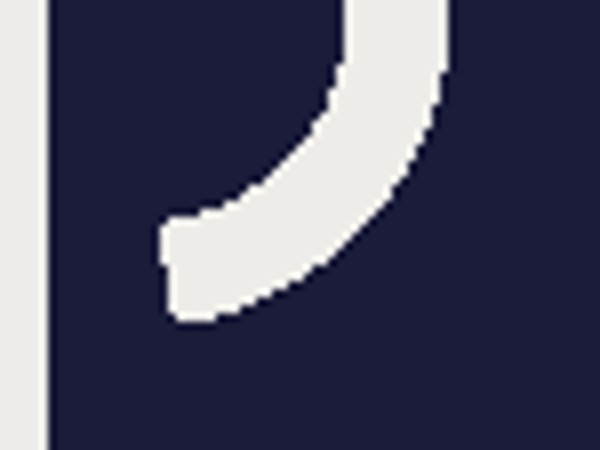 A normal image zoomed to 800%, edges soft and jagged